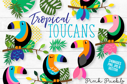 Tropical Toucan Clipart and Vectors