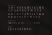 Quality Elegant Serif Font, a Serif Font by Perfectype (Thumbnail 7 of 8)