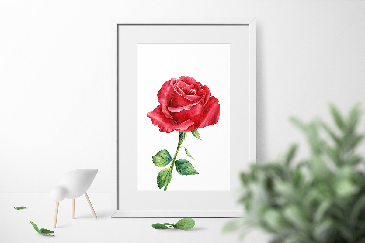 Garden Flowers hand drawn watercolor, a Decorative Illustration by Hanna Hryharenka (Photo 4 of 16)
