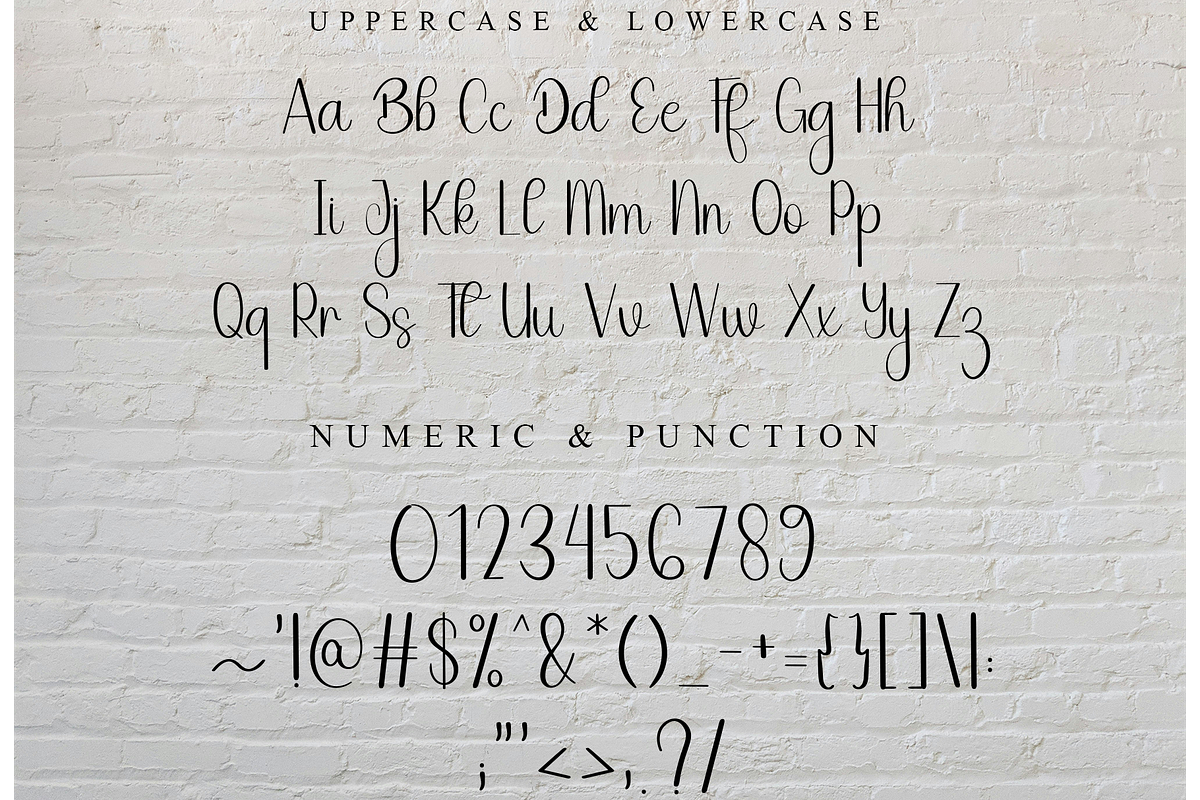 Dandelion, a Handwritten Font by FreshTypeINK (Photo 8 of 8)