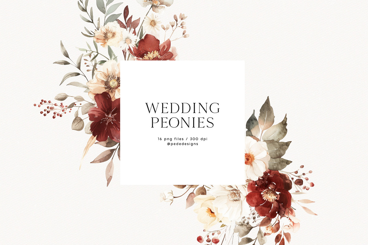Wedding Peonies, a Decorative Illustration by PeDe Designs (Photo 7 of 10)