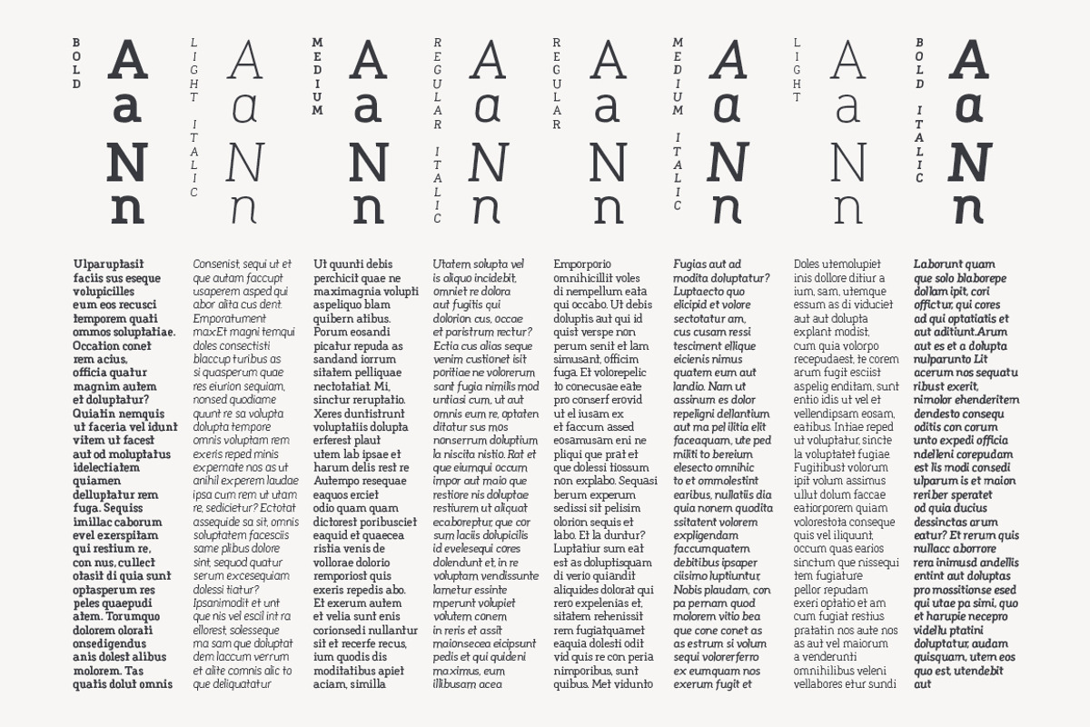 Dissimo Font Family (8 fonts), a Font by Verg Shop (Photo 22 of 24)