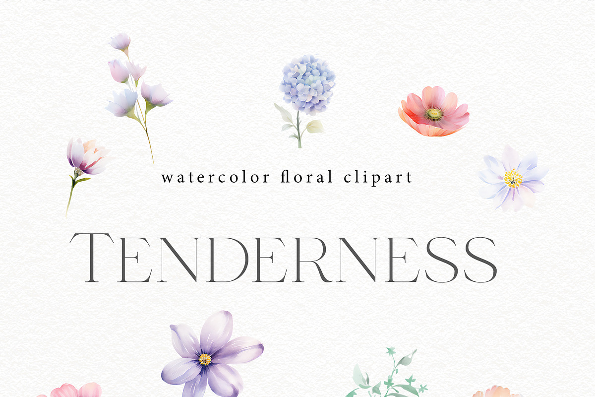 Tenderness - Delicate Floral Clipart, a Seasonal Illustration by Olga Koelsch (Photo 5 of 8)