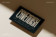 First Contact - Ultra Condensed Font, a Sans Serif Font by SilverStag Type Foundry (Thumbnail 10 of 17)