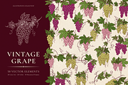 Vintage Grape Vector set Wine Labels, a Food Illustration by Neliakott ♥ (Thumbnail 1 of 10)