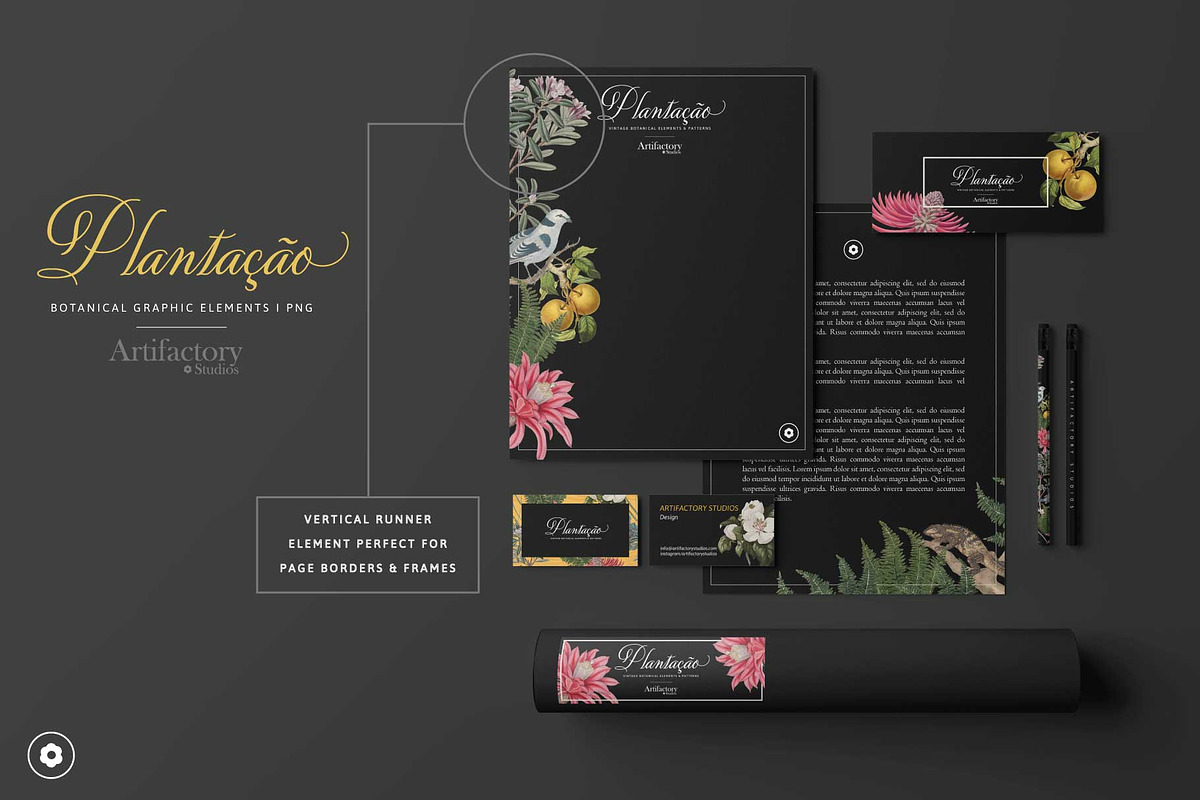 Plantação Botanical Elements I PNG, a Pattern Graphic by Artifactory Studios (Photo 6 of 8)