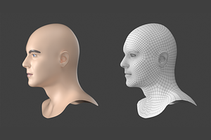 Natural Male Head 02 Generic Mesh