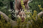 Rothen – Aesthetic Serif Font, a Serif Font by Dikas Studio (Thumbnail 7 of 10)