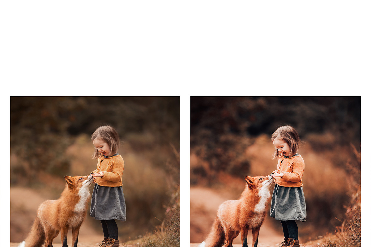 10 Hello Autumn Lightroom Presets, a Preset Add-On by MockTurtleStudio (Photo 3 of 9)