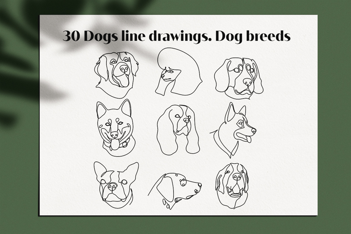 30 Dogs line drawings. Dog breeds, an Outline Icon by velychko.ua (Photo 7 of 9)