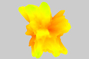 GEO_FLUID1 Vector Pack, a Background Graphic by codetoform (Thumbnail 5 of 10)