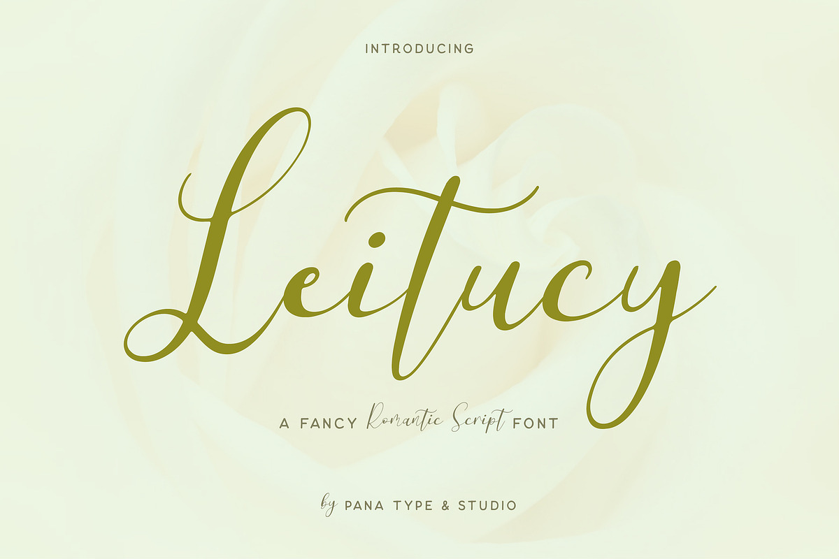 Leitucy Script Font, a Handwritten Font by Panatype™ Studio (Photo 1 of 10)