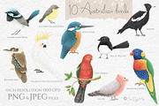 Australian Birds & Flowers, an Animal Illustration by Jen Digital Art (Thumbnail 2 of 7)