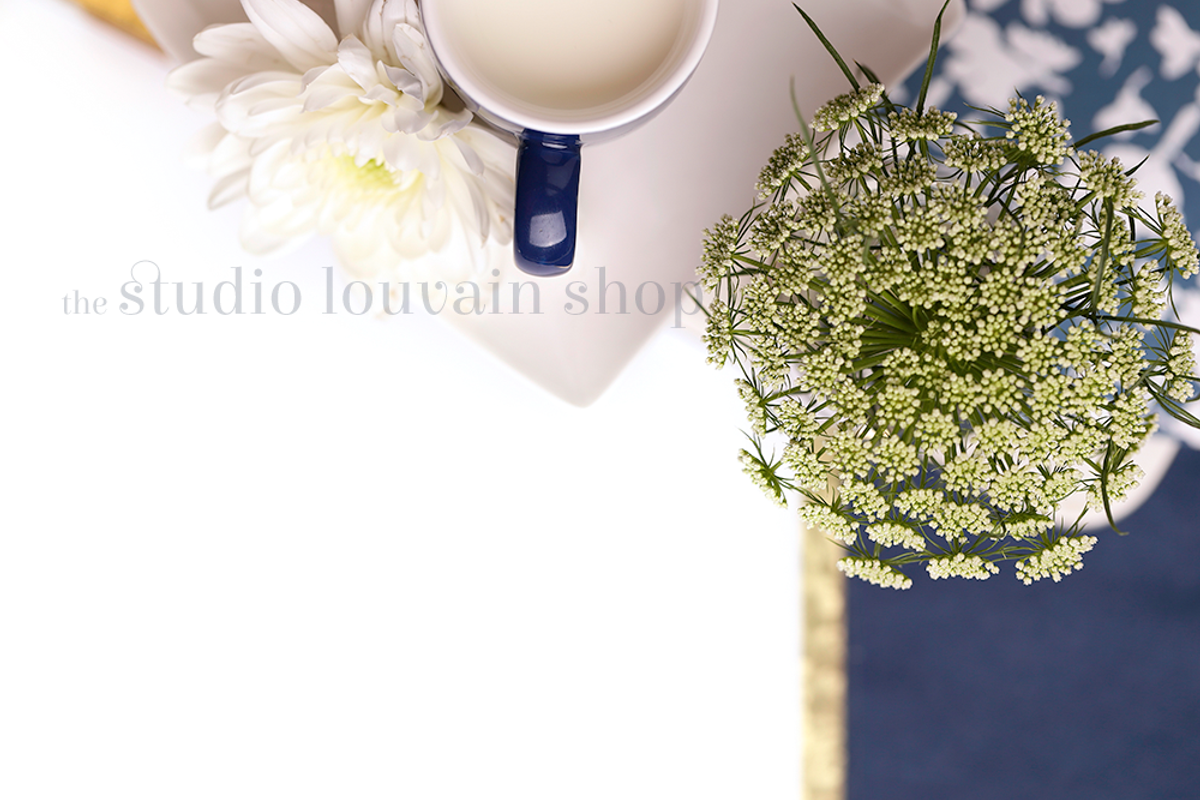Styled Stock Photo -Elizabeth 3, a Beauty & Fashion Photo by the studio louvain shop (Photo 1 of 3)