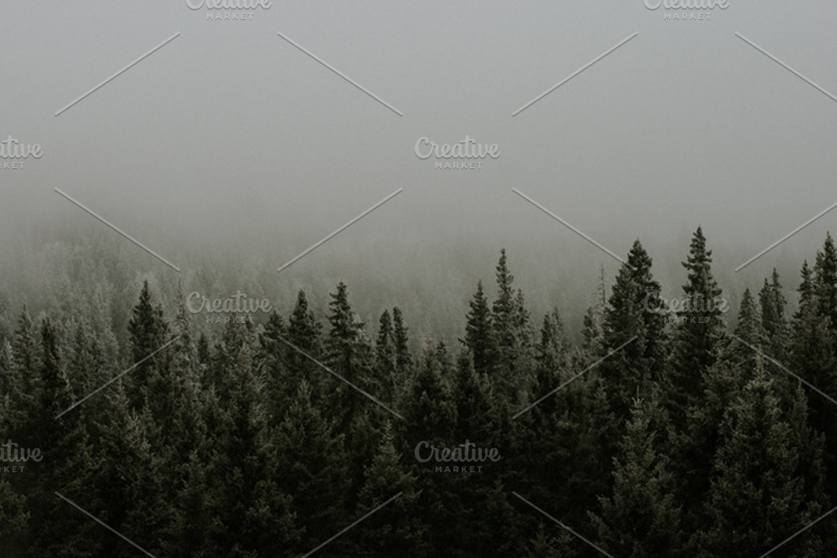 Trees and fog featuring nature, trees, and fog, a Nature Photo by Wild Wander Collective (Photo 2 of 2)
