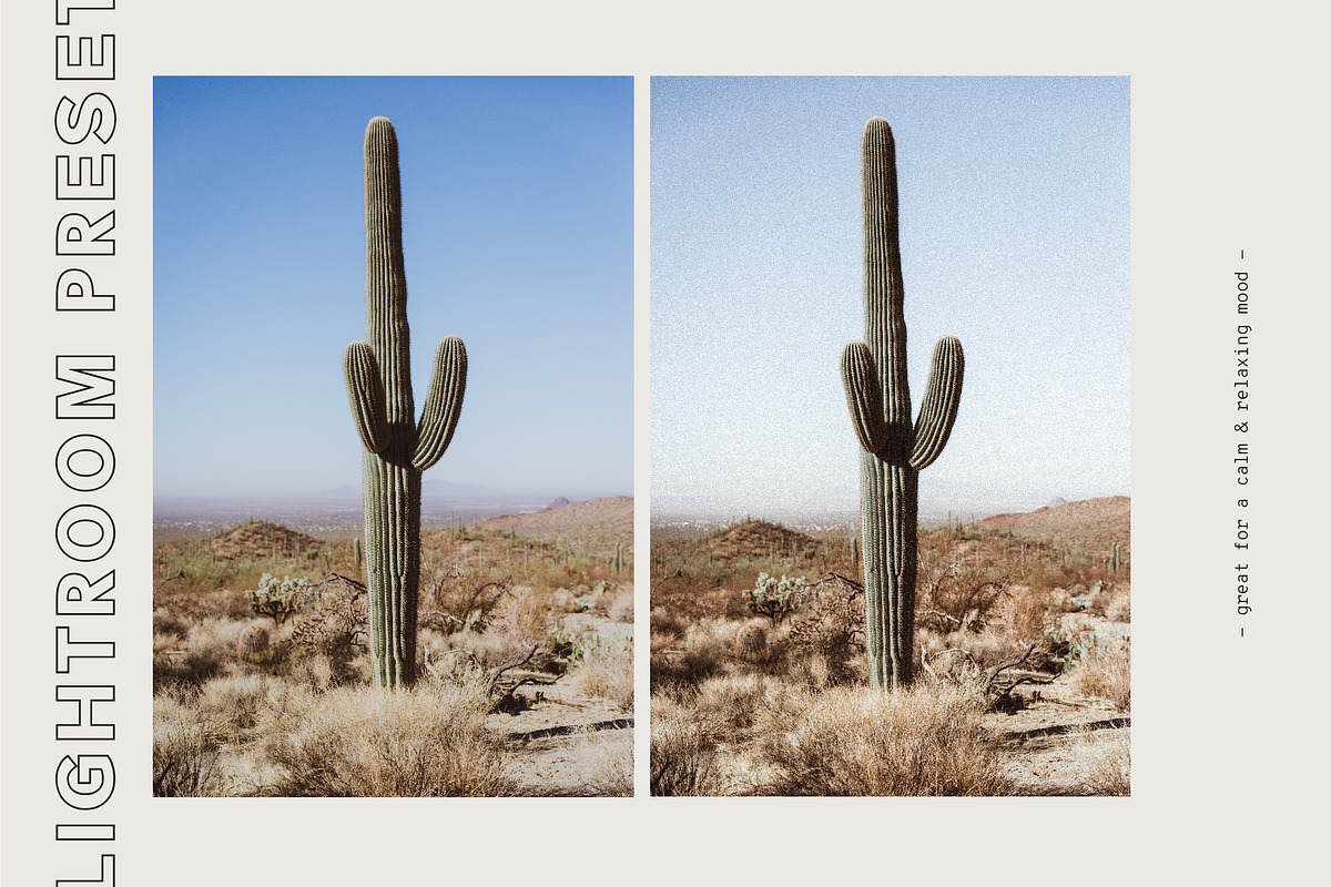 California Dreamin' Lightroom Preset, a Social Media Template by 89 Golden Blvd (Photo 3 of 8)