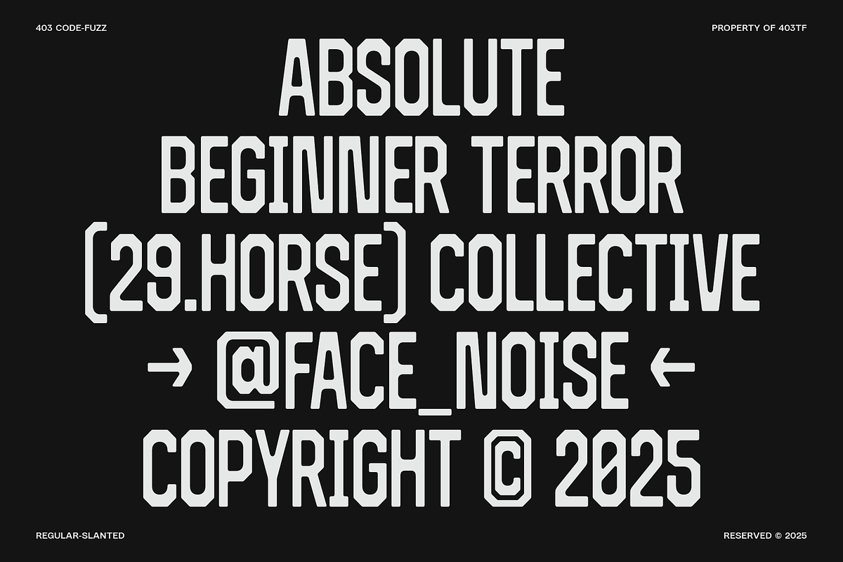 403 Code Fuzz, a Sans Serif Font by 403 Type Foundry (Photo 5 of 18)