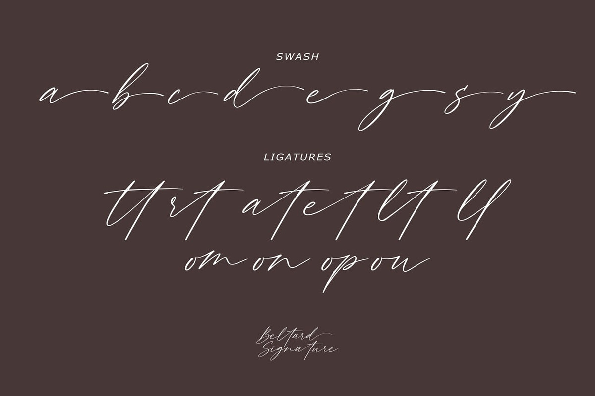 Beltard - Signature font, a Script Font by Majelis Art (Photo 8 of 8)