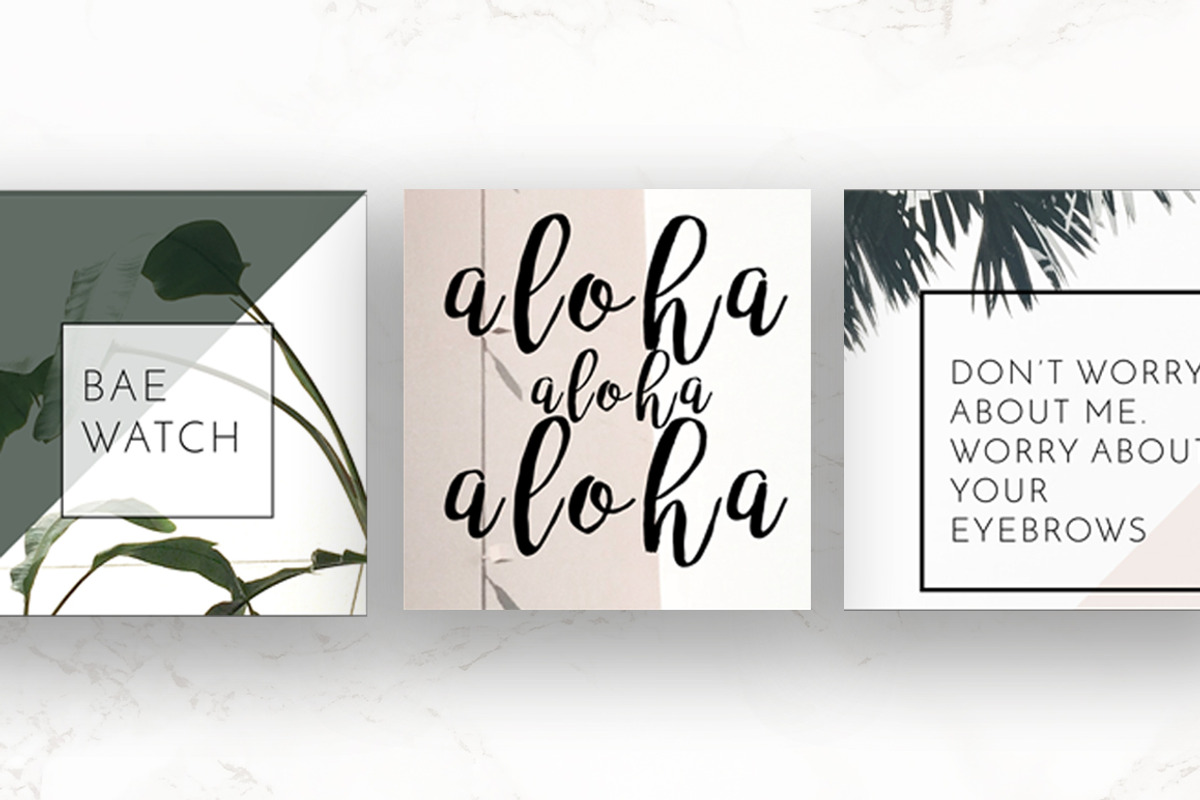 8 Pack Instagram Social Palm Layouts, a Templates & Theme by Aloha Philly (Photo 4 of 7)