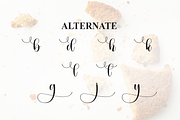 Messybun | Script Font, a Handwritten Font by Scratchones (Thumbnail 8 of 9)