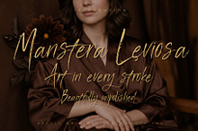 Manstera Leviosa - Expressive Script