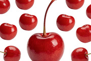 All Fruits Bundle Master Collection, a Food & Drink Photo by FlyeredTemplate (Thumbnail 117 of 130)