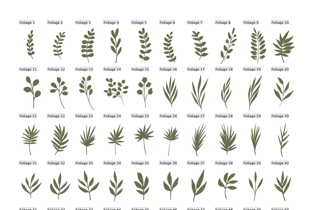 Hand drawn foliage, an Illustration by Wild Rose (Photo 5 of 6)