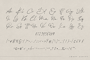 Snarf modern script, a Script Font by Only Fonts (Thumbnail 7 of 10)