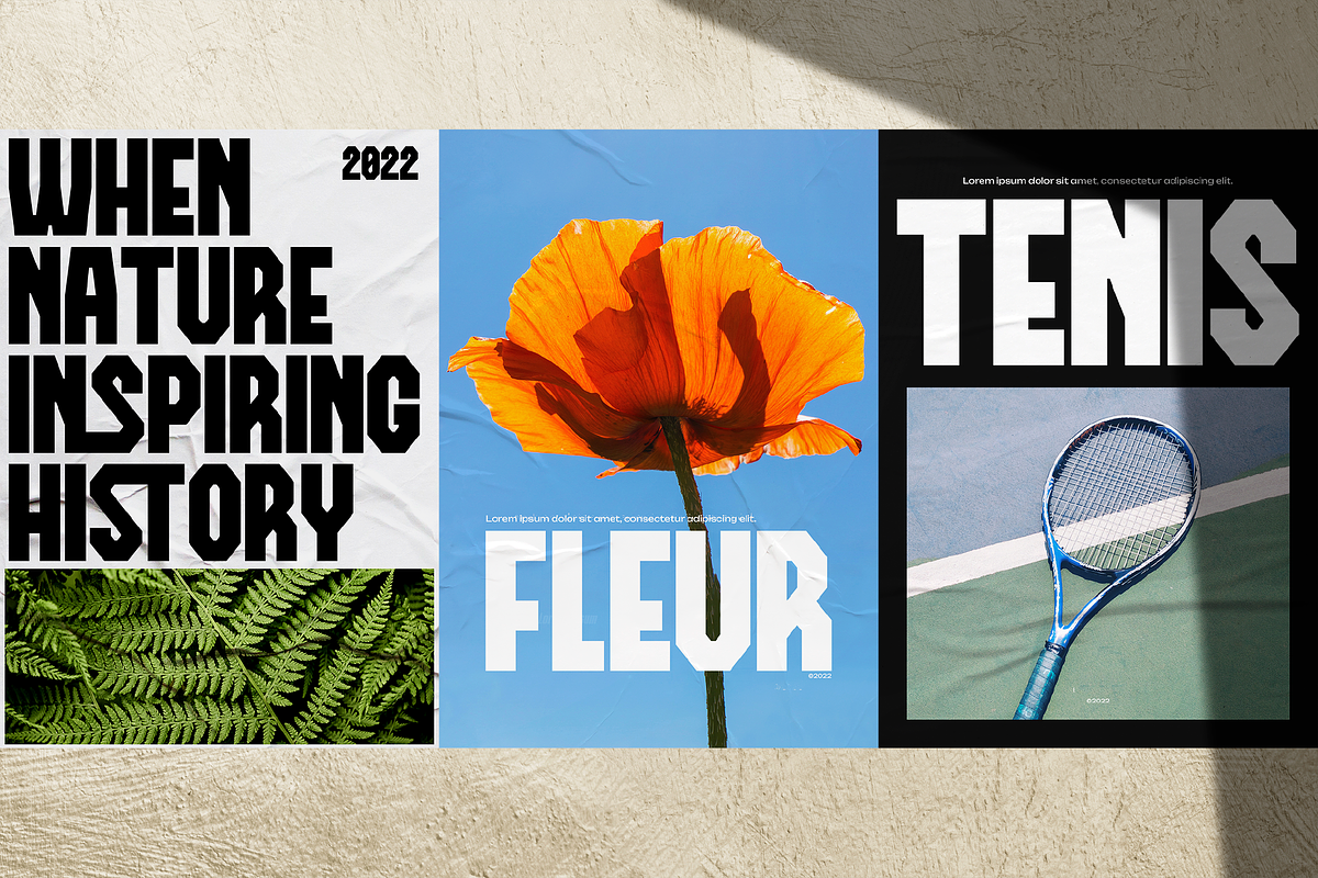 Debron Orders | Bold Sans Serif, a Sans Serif Font by Denustudios (Photo 9 of 12)