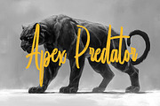 Dreadfort Handwritten Brush Font, a Handwritten Font by Geelator Studio (Thumbnail 2 of 10)