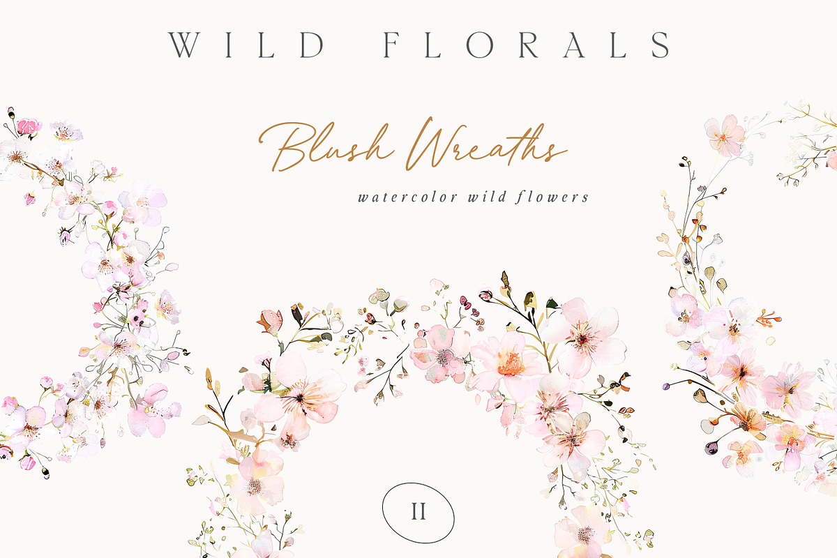 New! Wild Flowers Edition, a Seasonal Illustration by Isabelle Salem (Photo 8 of 155)
