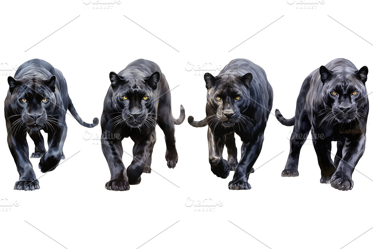 Individual Big Cats Bundle of 24, a Graphic by Jay Major Designs (Photo 6 of 7)
