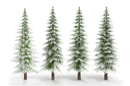 Canadian Spruce Tree Snow V1