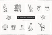 Woodland Drawings, an Animal Illustration by PeDe Designs (Thumbnail 6 of 9)