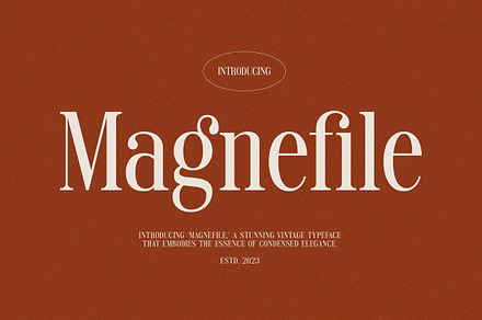 Magnefile - Classy & Stylish Serif, a Serif Font by TypeLogue