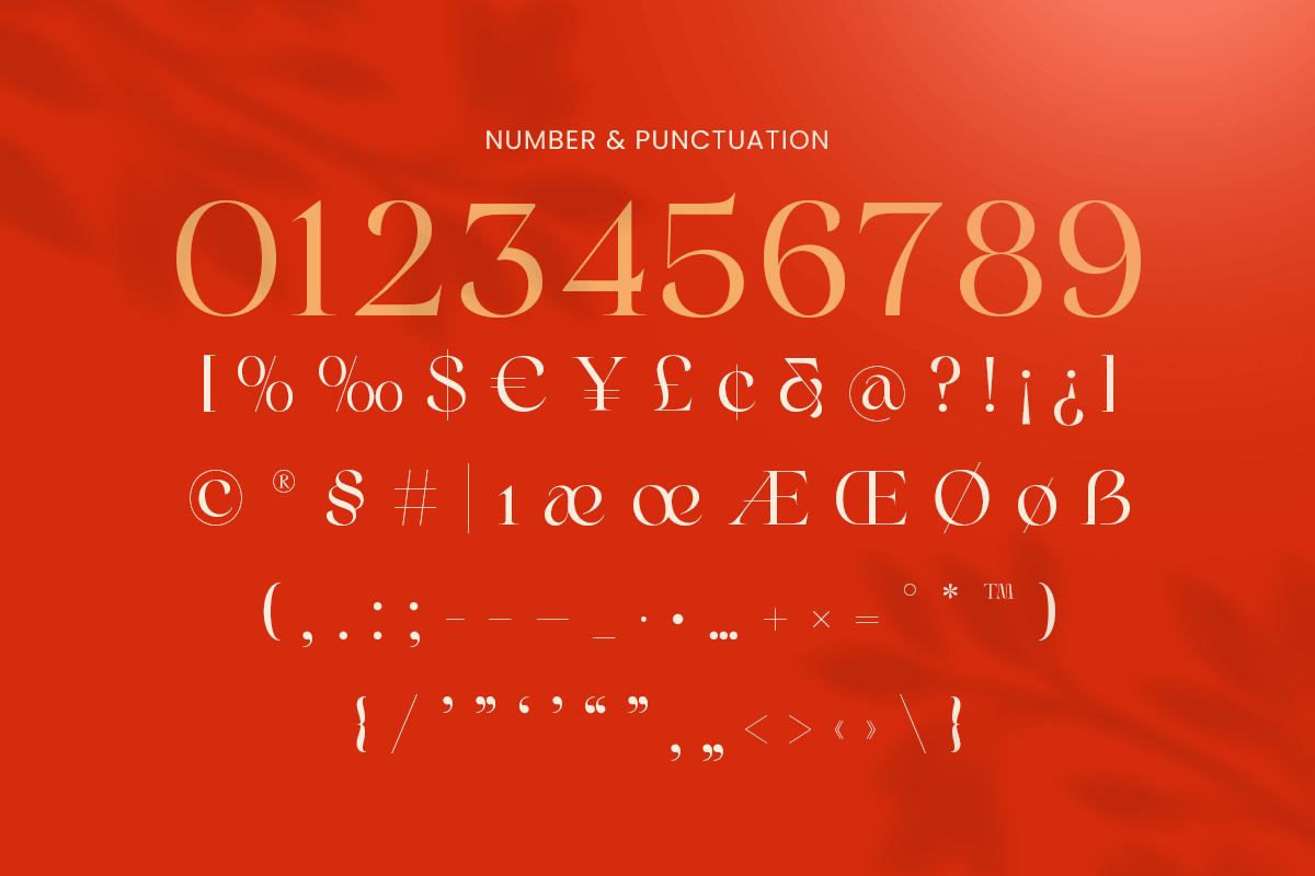 Riona - Luxury Swash Logo Font, a Serif Font by Sensatype (Photo 11 of 12)