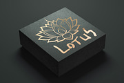 Oriental decorative elements, a Decorative Illustration by Katika Shop (Thumbnail 5 of 6)