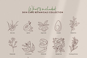Skin Care Botanicals | 30 designs, a Healthcare Illustration by amber&ink (Thumbnail 4 of 9)