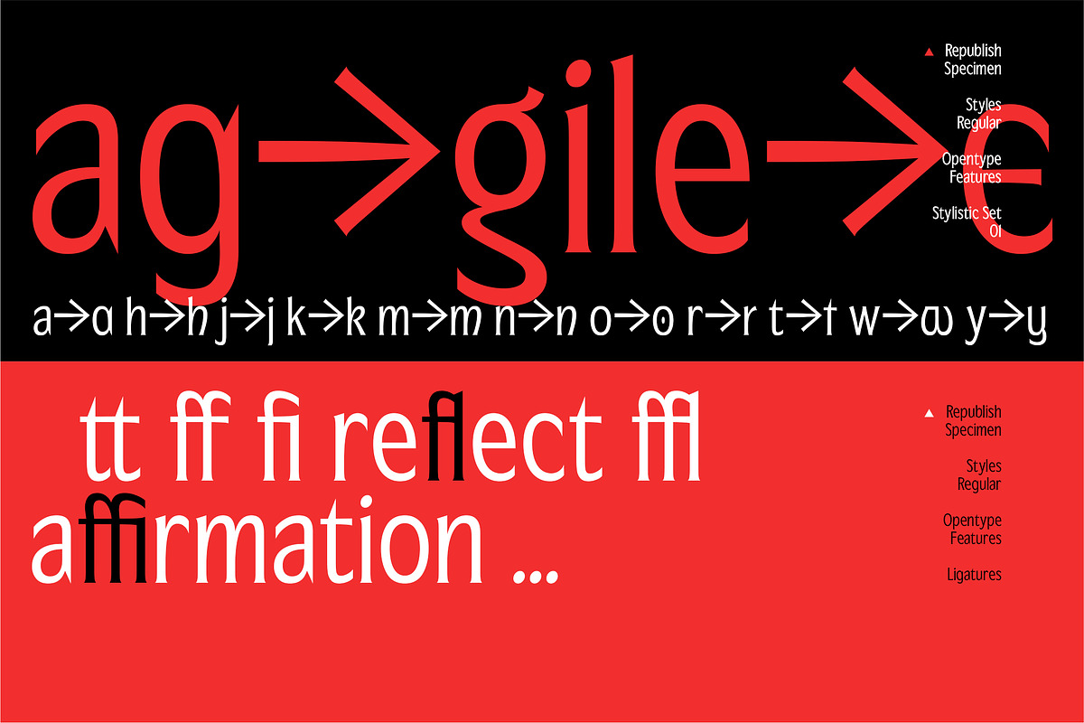 Republish Variable Font, a Serif Font by Abda Laka (Photo 7 of 21)