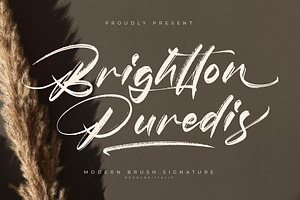 Brightton Puredis Brush Signature