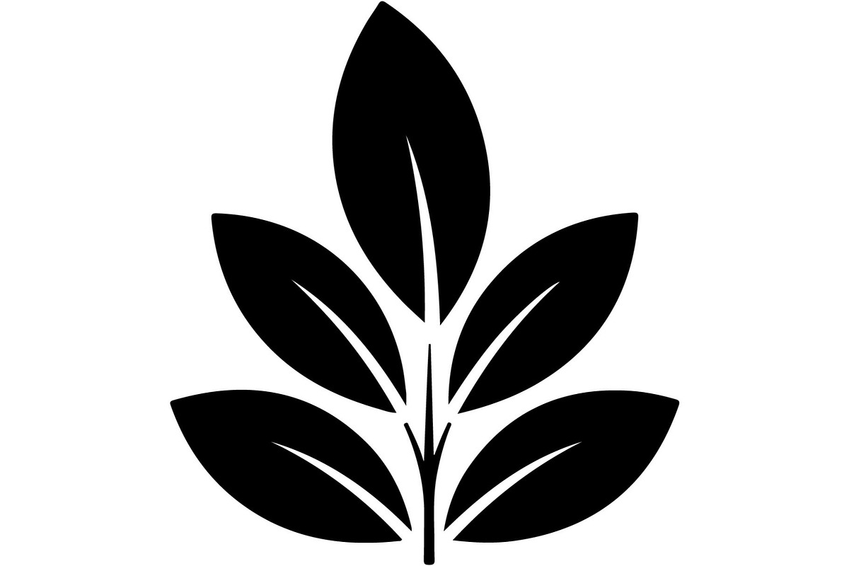 Botanical Leaf Silhouette, an Object Graphic by Creativeshirt (Photo 15 of 19)