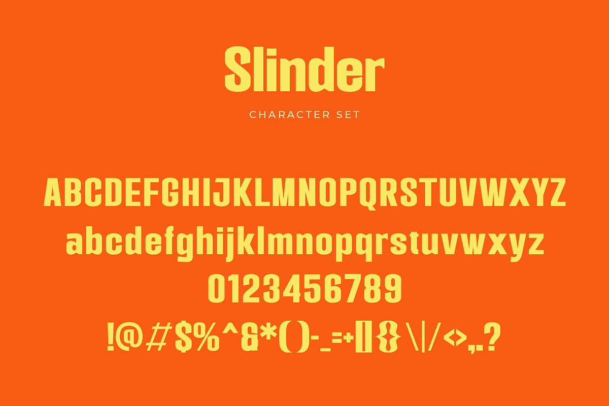Slinder - Modern Sans Serif, a Sans Serif Font by TypeLogue (Photo 4 of 5)
