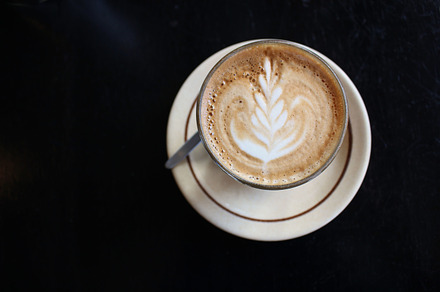 Coffee Cup with Fern