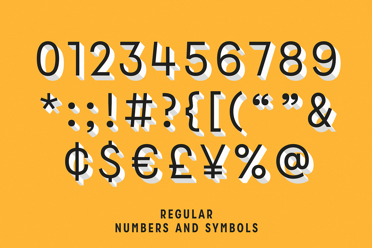 Zippy Gothic - A Huge Layered Family, a Sans Serif Font by Polytype (Photo 11 of 13)