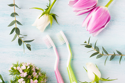 Two pastel toothbrushes with flowers herbs spring colors containing teeth, a Health & Medical Photo by Lifemorning