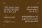 Qistine Modern Ligature Serif Font, a Serif Font by Perfectype (Thumbnail 6 of 6)