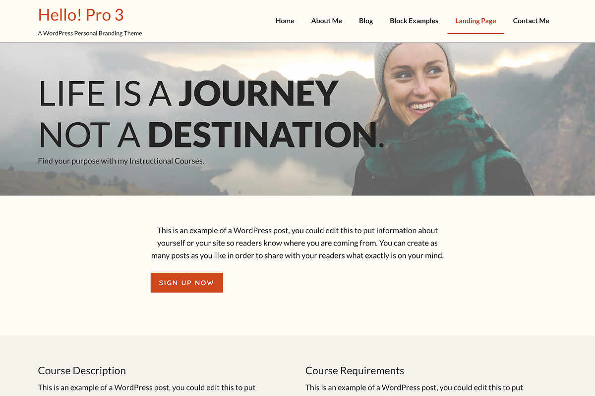 Hello! Pro 3, a WordPress Template by Build my brandiD (Photo 4 of 4)