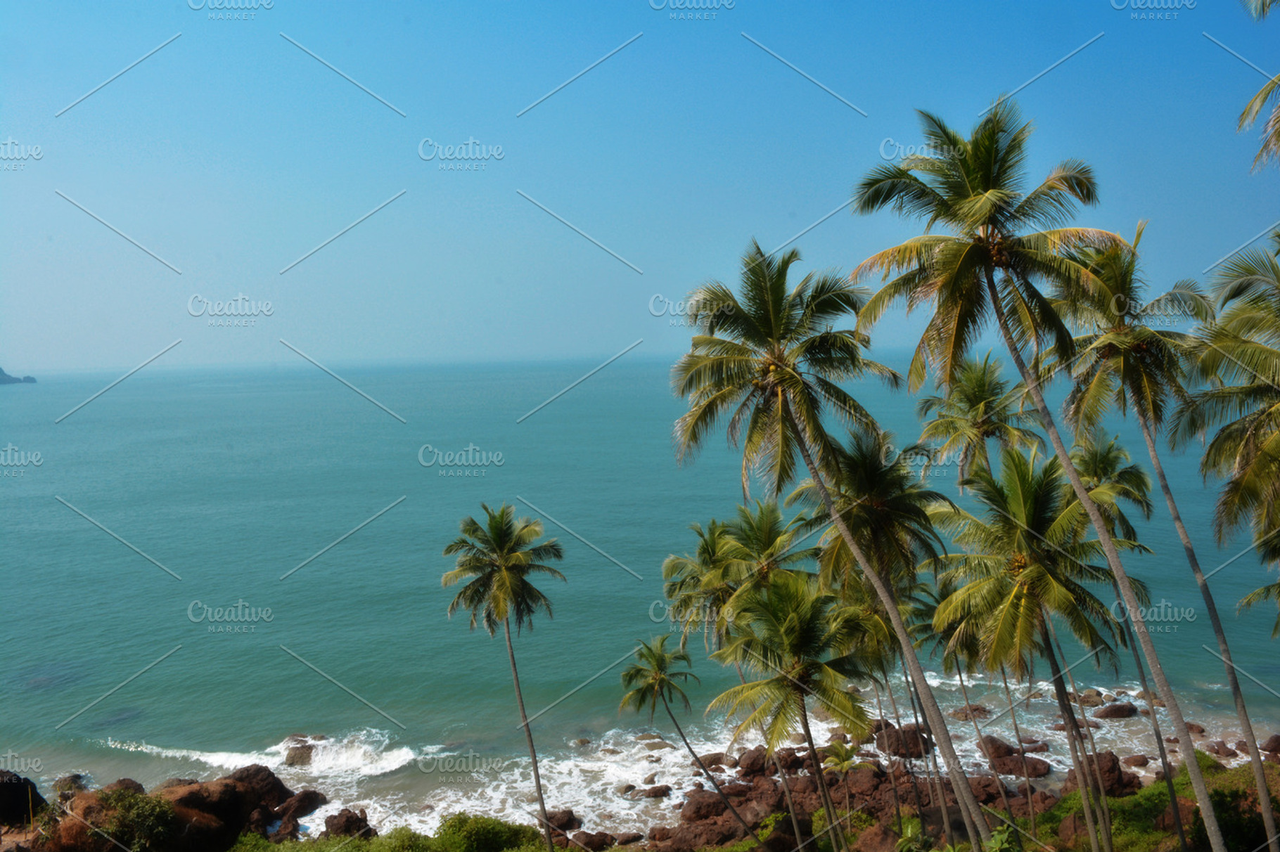 Coconut Trees at Beach, a Nature Photo by K_Srinivas