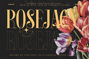Rosejacn Modern Display Serif, a Serif Font by timelesstype.co (Thumbnail 1 of 20)