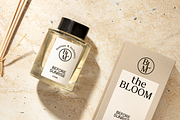 ELIRA | Modern Elegant Serif, a Serif Font by The Gelato Type (Thumbnail 4 of 12)